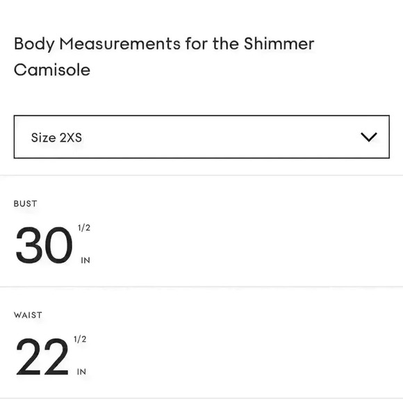 Sunday Best  shimmer camisole NWT , sz 2xs - Picture 5 of 9